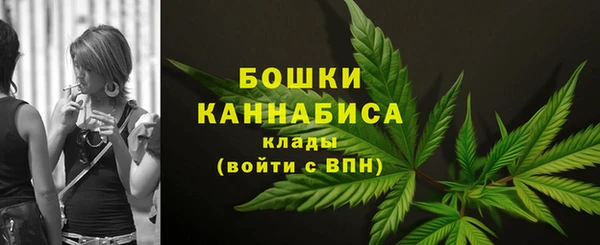 дживик Сосновоборск
