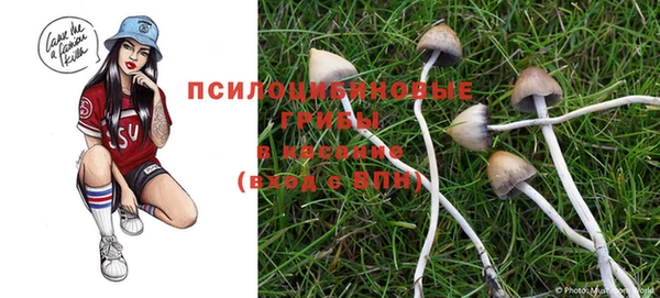 дживик Сосновоборск