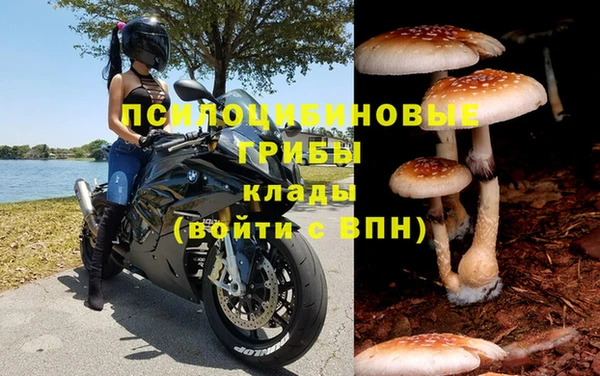 mdpv Пролетарск