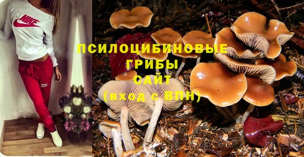 дживик Сосновоборск