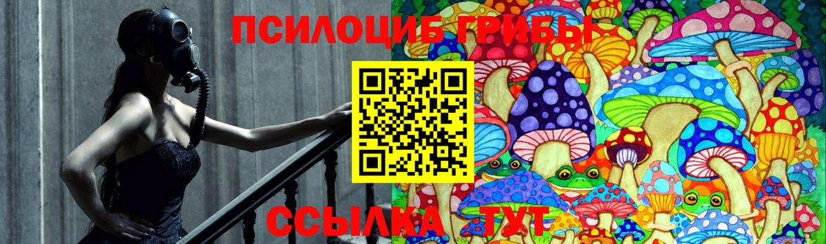 Галлюциногенные грибы Cubensis Урай